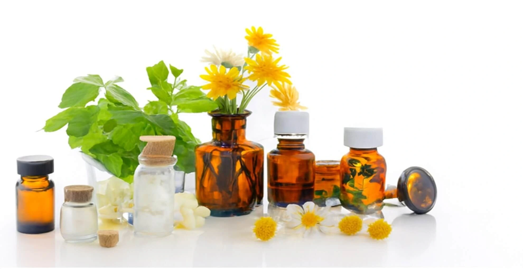 Patient waiting area at homeopathy clinic in Pathankot